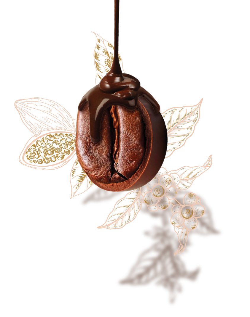 grano-chocolate.png