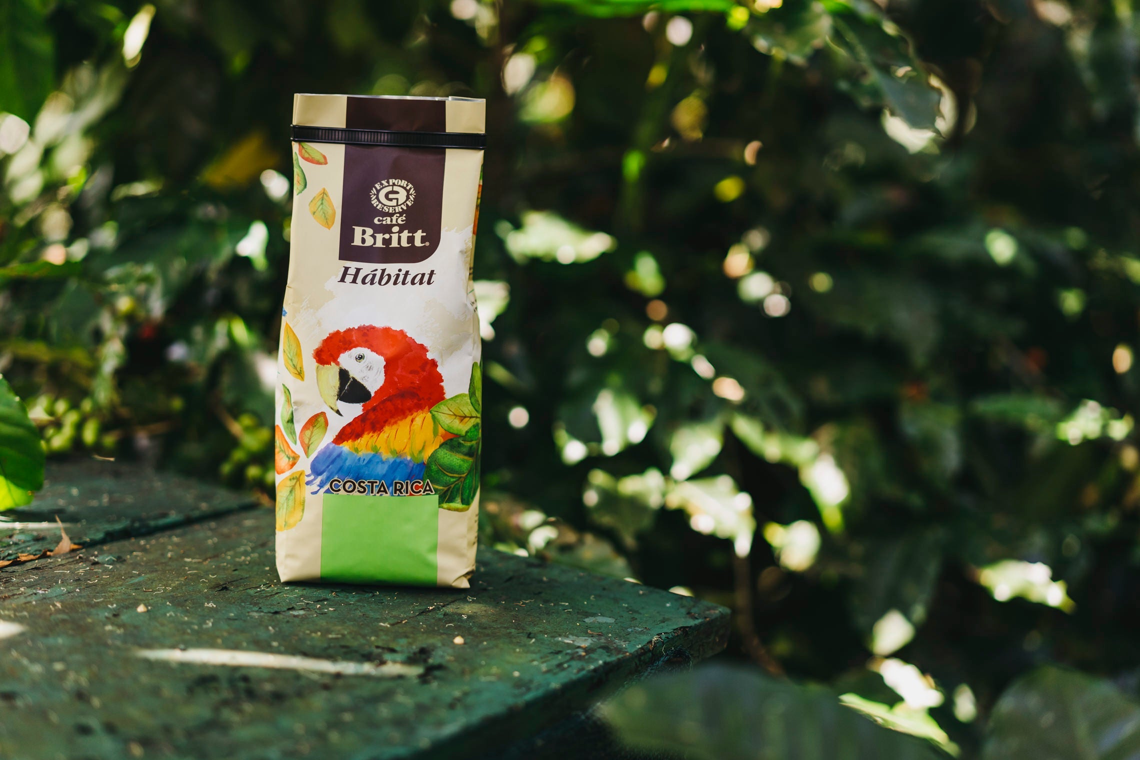 Bolsa de Café Britt Hábitat Lapa Blend colocada al aire libre 