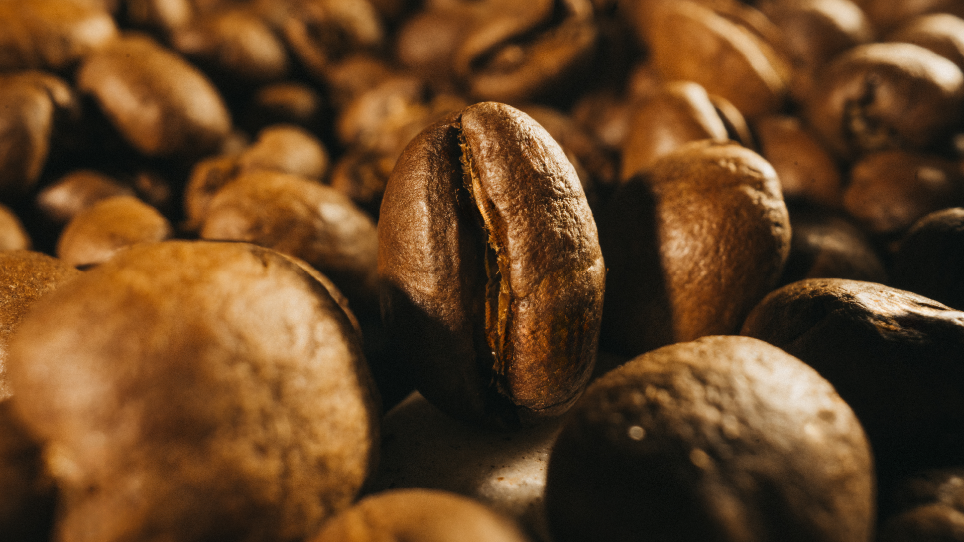 Granos de café tostado de alta calidad