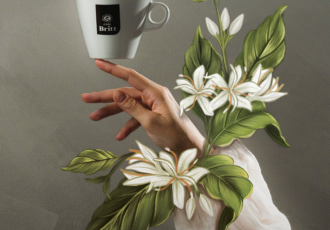 Día Internacional del Café: La Flor que Inspira Nuestro Café