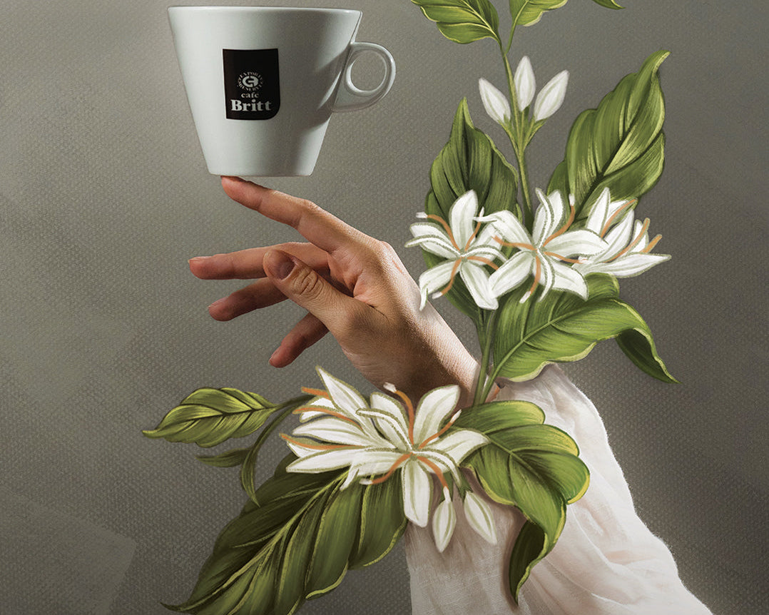 Día Internacional del Café: La Flor que Inspira Nuestro Café