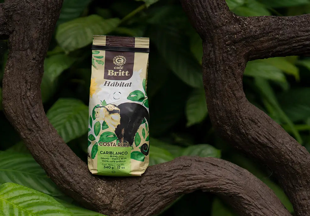 Bolsa de café molido Café Britt Hábitat Cariblanco colocada entre ramas y vegetación tropical.