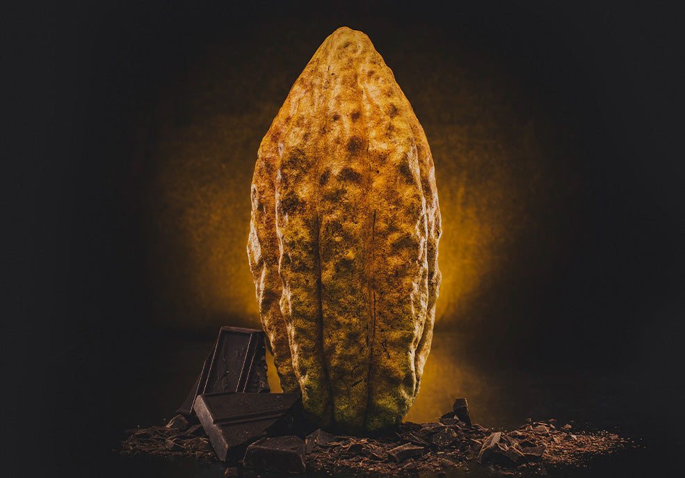 Grano de café y grano de cacao iluminados sobre un fondo oscuro.