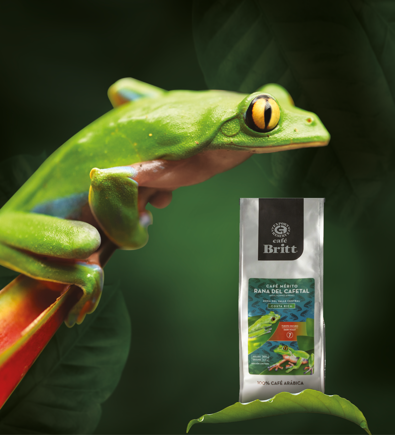 CAFÉ BRITT MÉRITO RANA