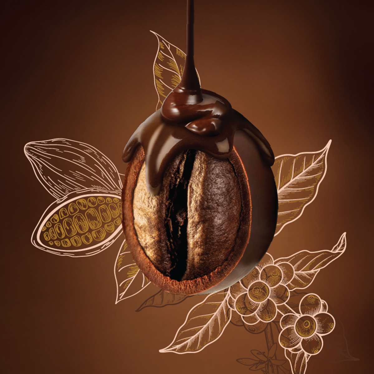 Blur-not-dia-cacao.png