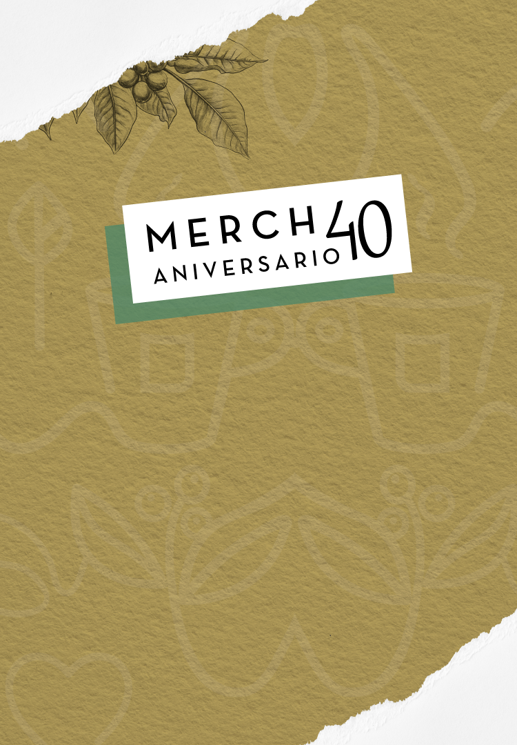 Historias-mobile-33.png