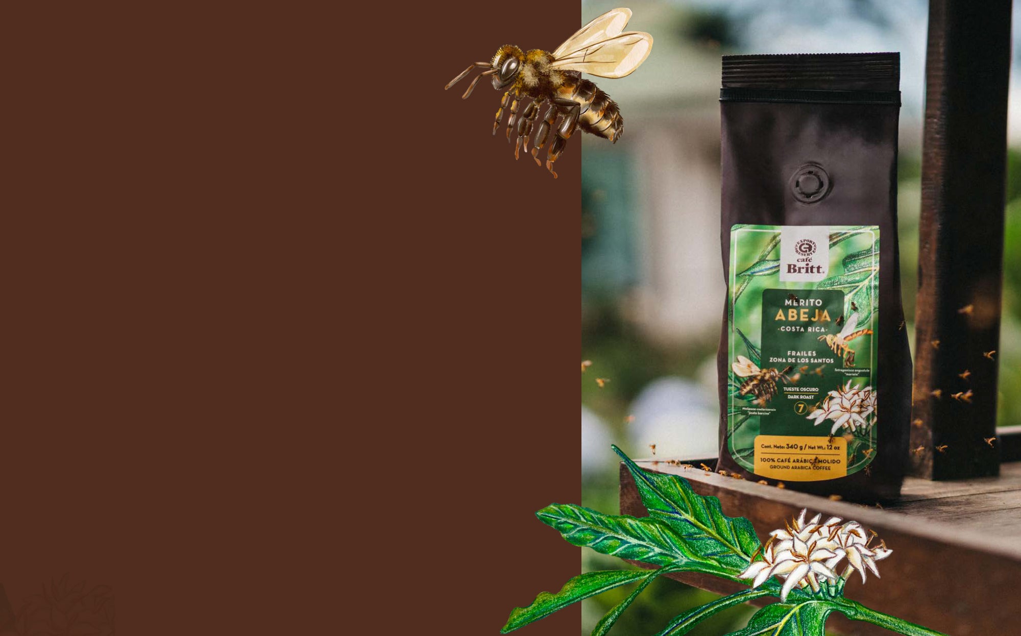 abeja-2.jpg