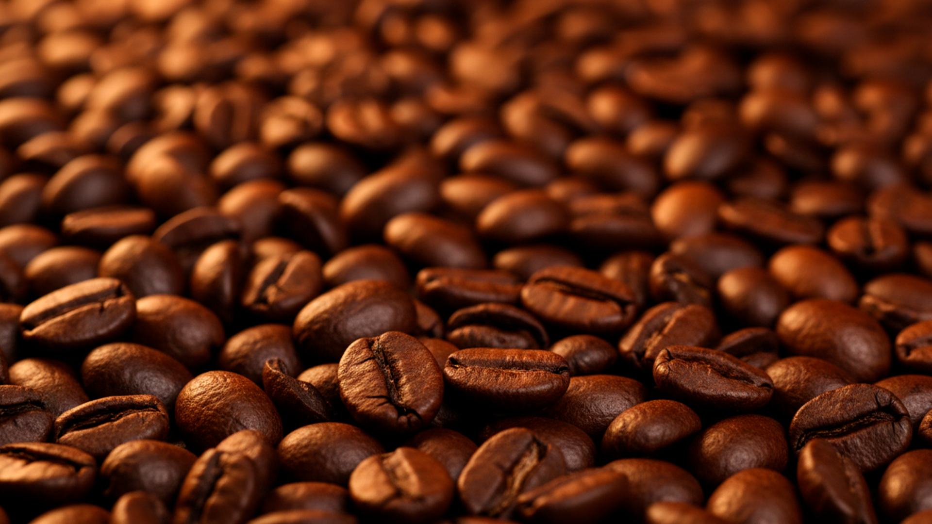 banner1.png