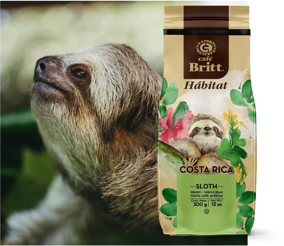 rse-habitat-sloth.webp