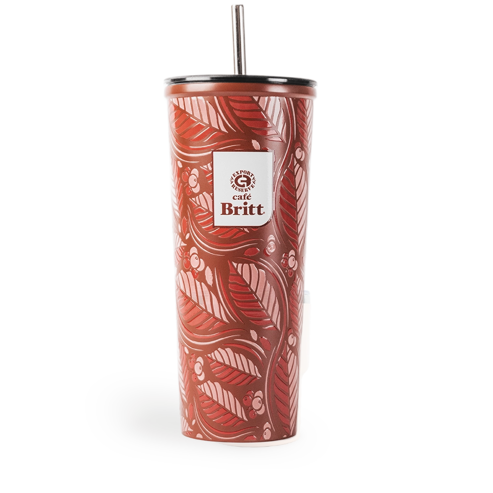 Tumbler con Pajilla Britt 650 ml