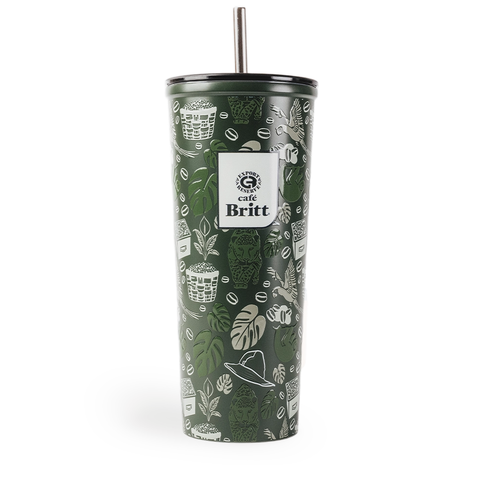 Tumbler con Pajilla Britt 650 ml