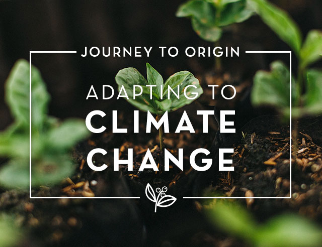ADAPTING TO CLIMATE CHANGE