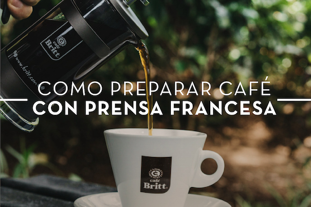 Cómo Preparar Café con Prensa Francesa