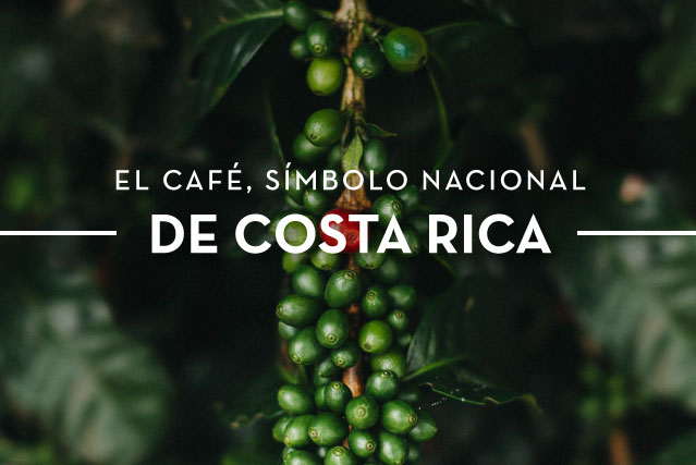 Café Símbolo Nacional